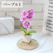 造花 胡蝶蘭 コチョウラン ラン 花 植物 ミニポット ミニ鉢植え イミテーション フェイクフラワー 卓上 リビング インテリア オシャレ 綺麗 母の日