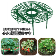 イチゴ栽培用ラック いちごスタンド イチゴ支え棚 いちご支柱 ガーデニング 農業 園芸用品 ストロベリーサポート 誘引作業 園芸支柱 園芸棚 園芸ラック 野菜栽培  組み立て式 設置簡単 便利 野菜 ナス トマト