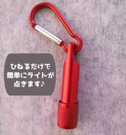 懐中電灯 LED ライト ハンディ 小型 コンパクト 軽量 ミニサイズ 明るい アウトドア 野外 夜道 散歩 登山 防災 停電 キャンプ