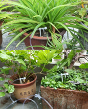自動水やり器 給水装置 5ｍセット ペットボトル給水器 ガーデニング 鉢植え 植木鉢 プランター 植物 水やり 旅行 お出かけ 出張 留守 水量調節 給水弁 バルブ付き