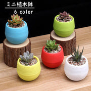 植木鉢 フラワーポット 受け皿付き ミニ 無地 排水 盆栽 軽量 可愛い シンプル 室内 屋外 観葉植物 多肉植物 ガーデニング 園芸用品 インテリア