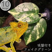 フェイクグリーン 人工観葉植物 葉 葉っぱ リーフ 吸盤付き 固定 ウォールグリーン インテリア 飾り 装飾 壁掛け ナチュラル イミテーション
