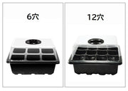 育苗ポット 6穴 12穴 蓋付き 透明カバー 通気口 育苗トレイ 苗箱 種まき 発芽 育成 栽培 鉢 プラスチック 家庭菜園 野菜 植物