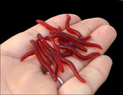 ソフトワーム ソフトルアー 100個セット シリコンワーム 3.5cm バス釣り ミミズ 疑似餌 虫 釣り 根魚 チョン掛け ノーシンカー ワッキーリグ フィッシング リアル 大容量 淡水 沖釣り