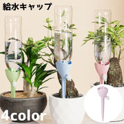 給水キャップ 単品 植物 水やり 水量調節 観葉植物 ペットボトル 散水 水あげ ノズル ガーデニング 園芸 盆栽 野菜 プランター 鉢植え 留守 旅行