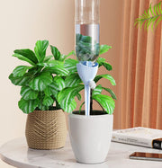 給水キャップ 単品 植物 水やり 水量調節 観葉植物 ペットボトル 散水 水あげ ノズル ガーデニング 園芸 盆栽 野菜 プランター 鉢植え 留守 旅行