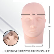 マネキンヘッド 練習用 ヘッド 顔 頭 メイク まつげ マツエク まつエク エステ サロン 美容師 美容院 マッサージ ディスプレイ