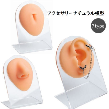 アクセサリー ディスプレイ ピアス用 イヤリング用 耳 唇 商品画像