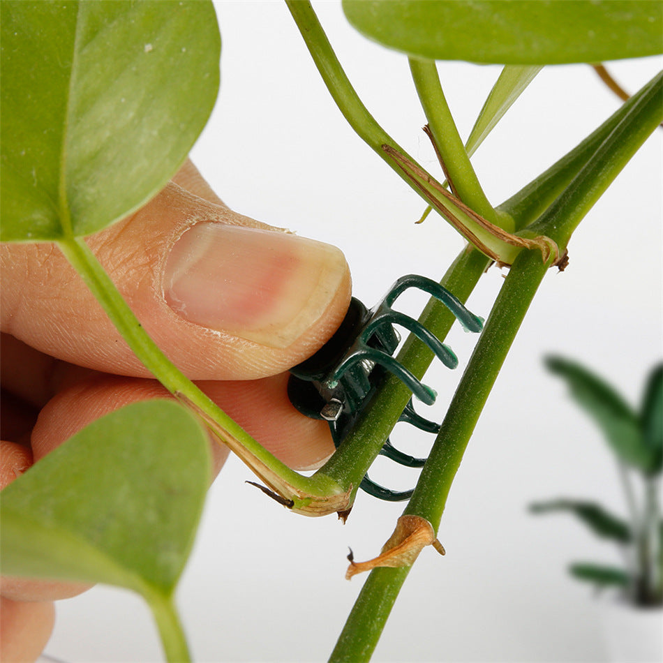園芸用クリップ 植物クリップ 100個入り 誘引クリップ 植物サポート つる 商品画像2