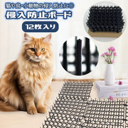 侵入防止ボード 12枚入り 猫 鳥 小動物 防鳥 防獣 害獣 ガーデニング DIY 対策ボード マット シート 侵入防止 いたずら防止 猫除け 野良猫除け 野良猫対策 ベランダ 軒下 畑 お庭 傷つけない ネコ ねこ とり