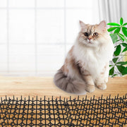 侵入防止ボード 12枚入り 猫 鳥 小動物 防鳥 防獣 害獣 ガーデニング DIY 対策ボード マット シート 侵入防止 いたずら防止 猫除け 野良猫除け 野良猫対策 ベランダ 軒下 畑 お庭 傷つけない ネコ ねこ とり