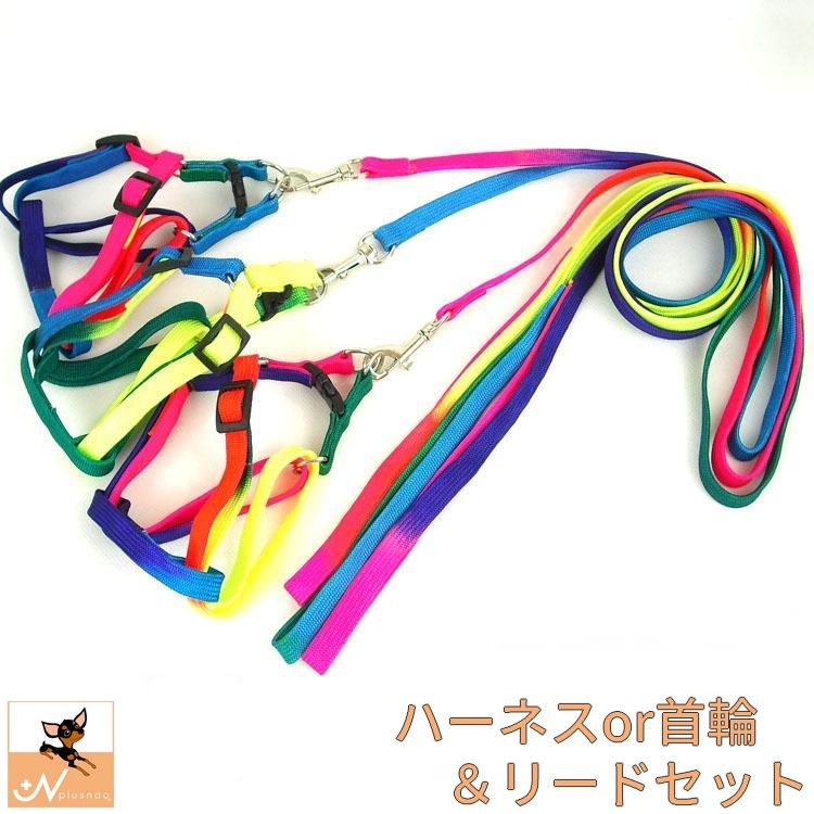 リード＆ハーネス リード＆首輪 2点セット グラデーションカラー 犬のリード 胴輪 カラー お散歩グッズ ワンちゃん用 シンプル 愛犬グッズ 120cm×1cm 小型犬 超小型犬