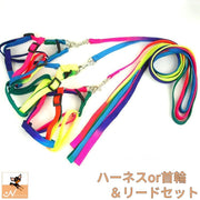 リード＆ハーネス リード＆首輪 2点セット グラデーションカラー 犬のリード 胴輪 カラー お散歩グッズ ワンちゃん用 シンプル 愛犬グッズ 120cm×1cm 小型犬 超小型犬