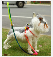 リード＆ハーネス リード＆首輪 2点セット グラデーションカラー 犬のリード 胴輪 カラー お散歩グッズ ワンちゃん用 シンプル 愛犬グッズ 120cm×1cm 小型犬 超小型犬