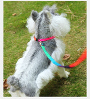 リード＆ハーネス リード＆首輪 2点セット グラデーションカラー 犬のリード 胴輪 カラー お散歩グッズ ワンちゃん用 シンプル 愛犬グッズ 120cm×1cm 小型犬 超小型犬