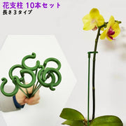 花支柱 植物支柱 10本セット 花支え 花ささえ 観葉支柱 フラワー支柱 フラワーサポーター フラワーガード ガーデニング 農業用 園芸用 園芸支柱
