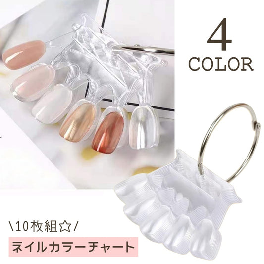 カラーチャート ネイルチャート 扇形 50色 10枚セット オーバル 商品画像