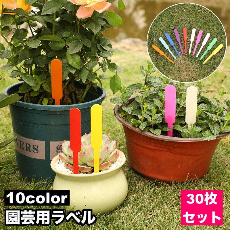 園芸用ラベル 30枚セット フラワーカード ガーデニング 花壇 植木鉢 プランター 苗木 花 育苗 播種 植物 管理 カラフル 無地 シンプル