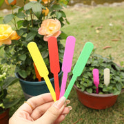 園芸用ラベル 30枚セット フラワーカード ガーデニング 花壇 植木鉢 プランター 苗木 花 育苗 播種 植物 管理 カラフル 無地 シンプル