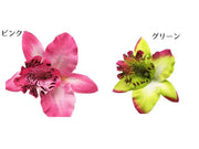 ヘアアクセサリー ヘアクリップ ヘッドドレス コサージュ フラワーモチーフ お花 レディース 髪飾り 髪留め ヘアアレンジ 結婚式 パーティー お呼ばれ 華やか 可愛い かわいい おしゃれ エレガント フォーマル ウエディング グラデーションカラー 南国風 女性用 婦人用 ファッション小物 雑貨