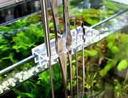 水槽ツールホルダー ペット用品 アクアリウム 水族館 水槽 メンテナンス用品 水槽ツール ツールホルダー 工具ホルダー 水生植物 ピンセット はさみ メンテナンス 水槽掃除用品置き ツールスタンド クリア 便利