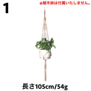 プラントハンガー ハンギングプランター 吊り下げ 植物ハンガーネット 観葉植物 ガーデニング用品 インテリア雑貨 縄 紐 ロープ 吊るす グリーンハンギング ショップ風 カフェ風 おしゃれ かわいい 飾りプランター 屋内 屋外 室内