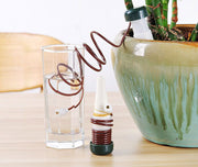 自動水やり器 自動給水器 2個セット ガーデニング用品 観葉植物 植物 植木鉢 園芸 水やり 給水 留守中 旅行中 便利 簡単