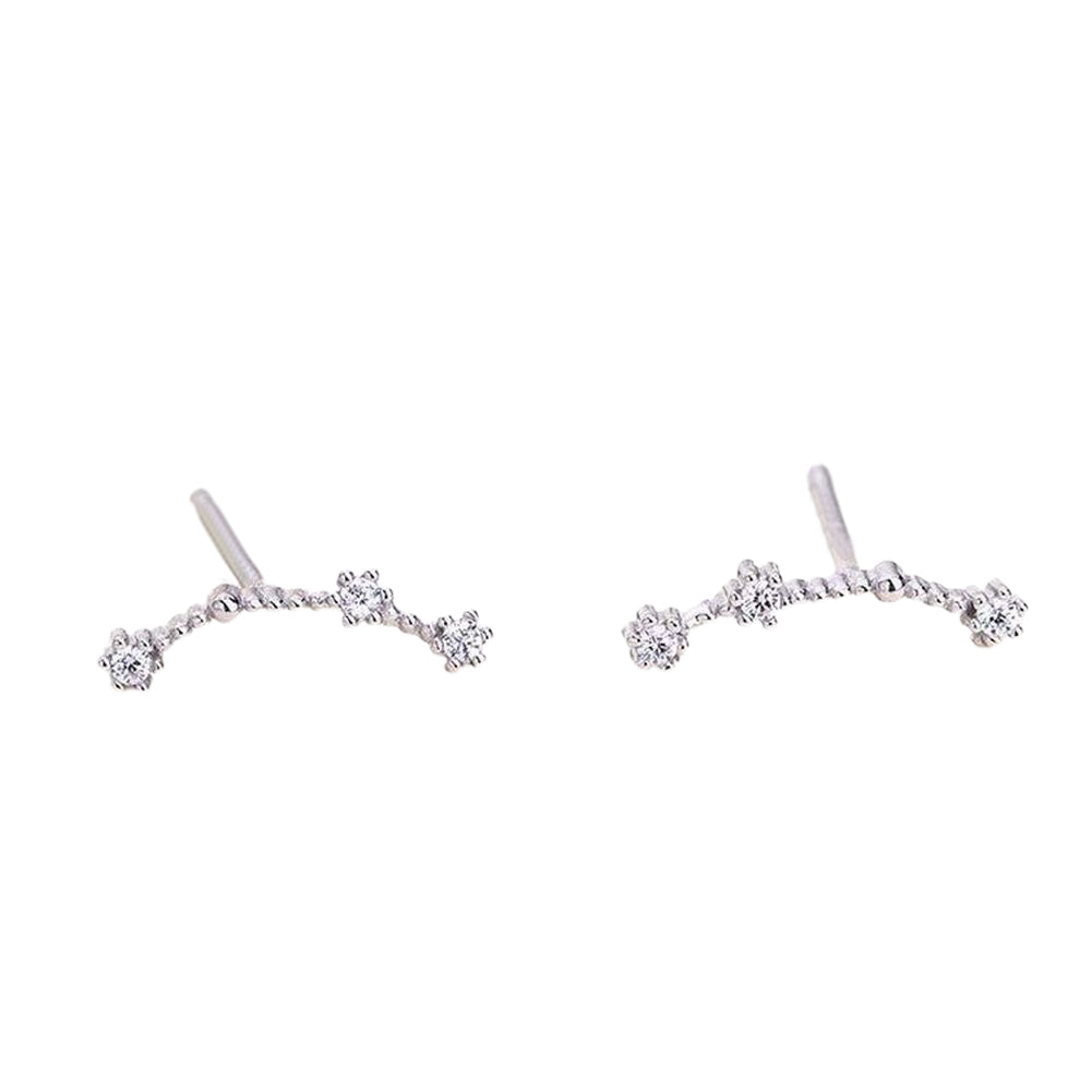 スタッドピアス キャッチピアス シルバー925 レディース アクセサリー 12星座 ファッション小物 上品 おしゃれ 綺麗 外出 お出掛け デート 誕生日 プレゼント 記念日 贈り物 ギフト 結婚式 パーティー 女性用