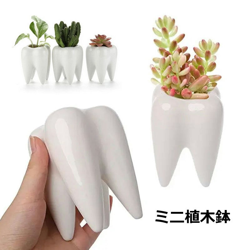 ミニ植木鉢 フラワーポット ペン立て 歯の形 多肉植物用 サボテン ミニ盆栽 陶器 観葉植物用 可愛い おしゃれ インテリア雑貨 室内 屋外 ガーデニング 園芸用品 ギフト 贈り物