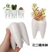 ミニ植木鉢 フラワーポット ペン立て 歯の形 多肉植物用 サボテン ミニ盆栽 陶器 観葉植物用 可愛い おしゃれ インテリア雑貨 室内 屋外 ガーデニング 園芸用品 ギフト 贈り物
