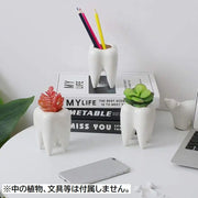 ミニ植木鉢 フラワーポット ペン立て 歯の形 多肉植物用 サボテン ミニ盆栽 陶器 観葉植物用 可愛い おしゃれ インテリア雑貨 室内 屋外 ガーデニング 園芸用品 ギフト 贈り物