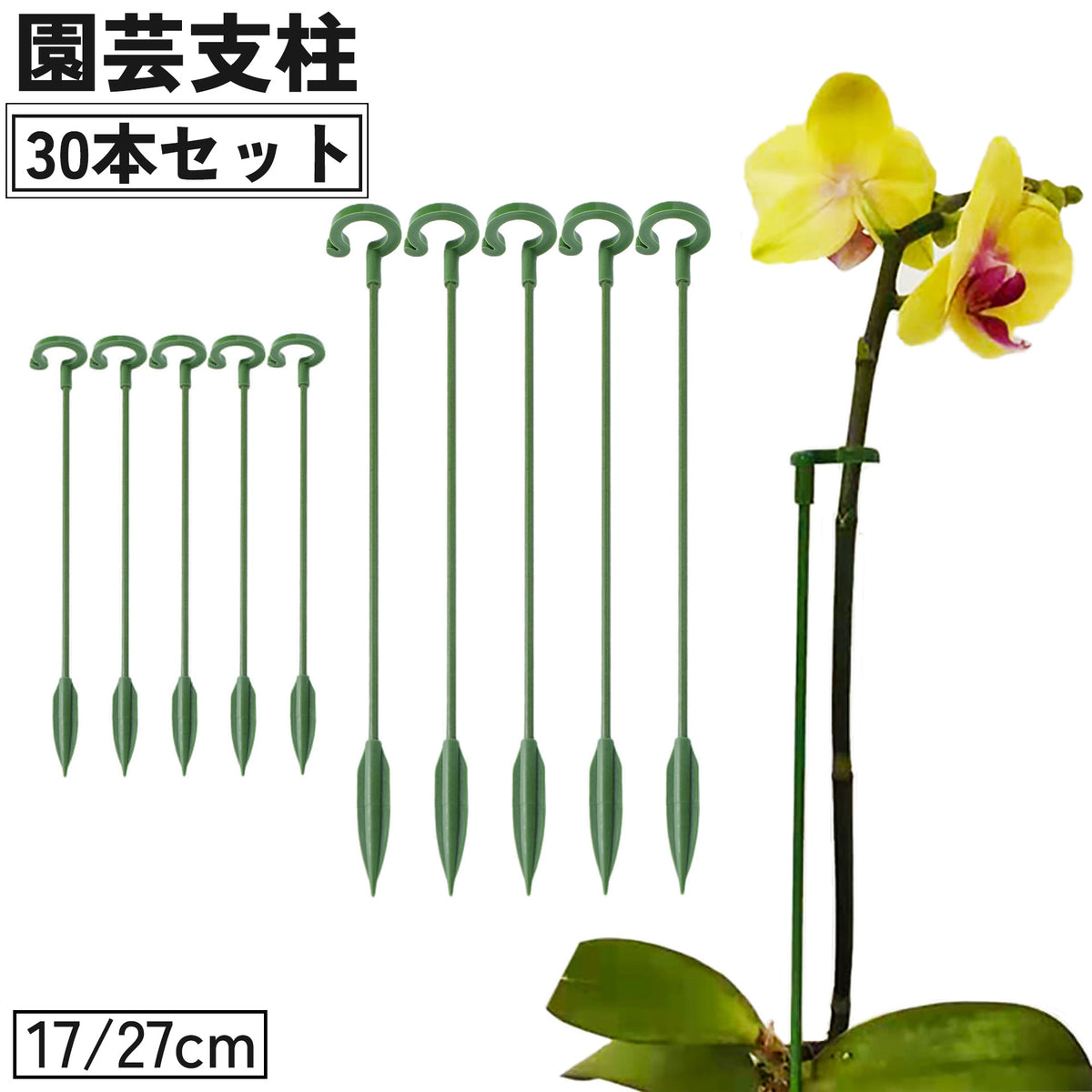 園芸支柱 30本セット 17cm 27cm 観葉植物 園芸 誘引 サポート 支え 簡単 設置 固定 転倒予防 植木鉢 ガーデニング用品