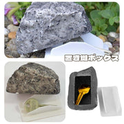 置き鍵ボックス 置き鍵ケース カギ隠し 鍵隠し 鍵 カギ 小型 石 ロック 隠す カモフラージュ キーボックス 屋外 庭 ばれにくい 防犯 見つかりにくい 置き鍵