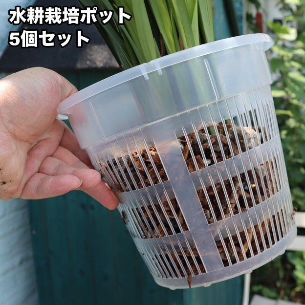 水耕栽培ポット 育苗ポット 5個セット 植木鉢 育苗 ガーデニング用品 商品画像