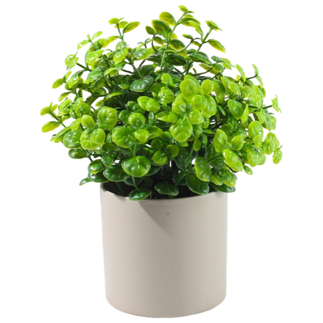 人工観葉植物 フェイクグリーン 多肉植物 造花 ガーデニング用品 置き物 4 バリエーション画像