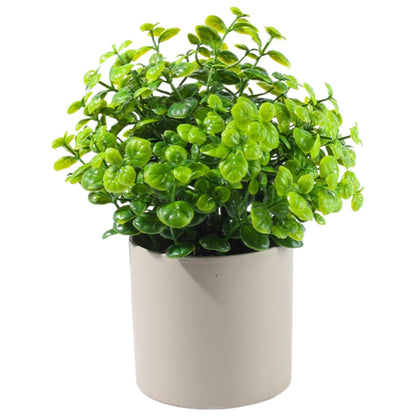 人工観葉植物 フェイクグリーン 多肉植物 造花 ガーデニング用品 置き物 4 バリエーション画像