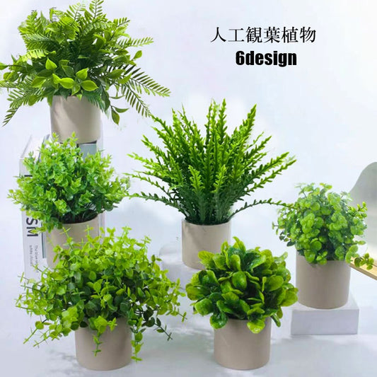 人工観葉植物 フェイクグリーン 多肉植物 造花 ガーデニング用品 置き物 商品画像