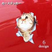 カーステッカー ボディステッカー 車用ステッカー デカール シール 反射 カーアクセサリー 装飾 デコレーション 外装 猫 ネコ 動物 のぞき猫 アニマル カー用品 傷隠し キズ隠し 自動車用品 可愛い