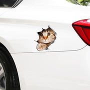 カーステッカー ボディステッカー 車用ステッカー デカール シール 反射 カーアクセサリー 装飾 デコレーション 外装 猫 ネコ 動物 のぞき猫 アニマル カー用品 傷隠し キズ隠し 自動車用品 可愛い