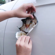 カーステッカー ボディステッカー 車用ステッカー デカール シール 反射 カーアクセサリー 装飾 デコレーション 外装 猫 ネコ 動物 のぞき猫 アニマル カー用品 傷隠し キズ隠し 自動車用品 可愛い
