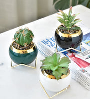植木鉢 多肉植物ポット プランター スタンド付き 陶器鉢 盆栽 寄せ植え 園芸用品 観葉植物ポット フラワーポット 親指植木鉢 丸型 多肉植物 卓上 窓飾り 置き型 インテリア小物 雑貨 おしゃれ きれいめ かわいい シンプル ミニサイズ 小さめ コンパクト 緑 黒 白 金色