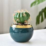 植木鉢 多肉植物ポット プランター スタンド付き 陶器鉢 盆栽 寄せ植え 園芸用品 観葉植物ポット フラワーポット 親指植木鉢 丸型 多肉植物 卓上 窓飾り 置き型 インテリア小物 雑貨 おしゃれ きれいめ かわいい シンプル ミニサイズ 小さめ コンパクト 緑 黒 白 金色