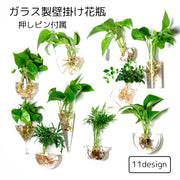 壁掛け花瓶 花瓶 ガラス 吊り下げ 壁掛け 植木鉢 円形 花形 三角形 フラワーベース 一輪挿し 水耕栽培 個性的 おしゃれ インテリア 涼しげ