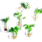 壁掛け花瓶 花瓶 ガラス 吊り下げ 壁掛け 植木鉢 円形 花形 三角形 フラワーベース 一輪挿し 水耕栽培 個性的 おしゃれ インテリア 涼しげ
