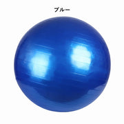 バランスボール エクササイズボール 椅子 55cm 65cm トレー二ング ダイエット ヨガ ピラティス ストレッチ フィットネス 空気入れ付属