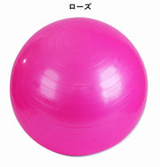 バランスボール エクササイズボール 椅子 55cm 65cm トレー二ング ダイエット ヨガ ピラティス ストレッチ フィットネス 空気入れ付属