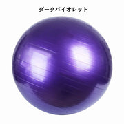 バランスボール エクササイズボール 椅子 55cm 65cm トレー二ング ダイエット ヨガ ピラティス ストレッチ フィットネス 空気入れ付属