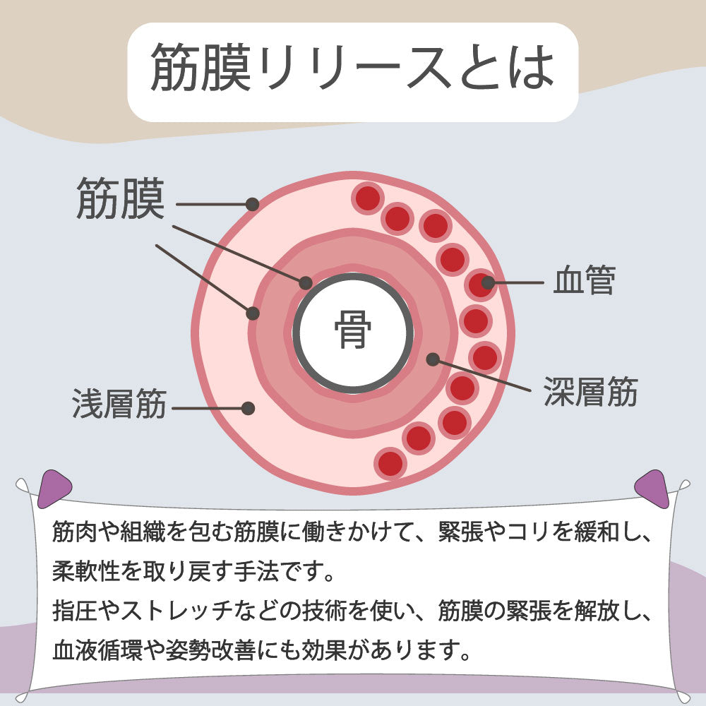 ヨガポール ストレッチローラー 直径8cm 筋膜ローラー 背中 ストレッチ用ポール 商品画像4