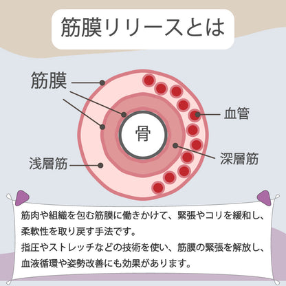 ヨガポール ストレッチローラー 直径8cm 筋膜ローラー 背中 ストレッチ用ポール 商品画像4