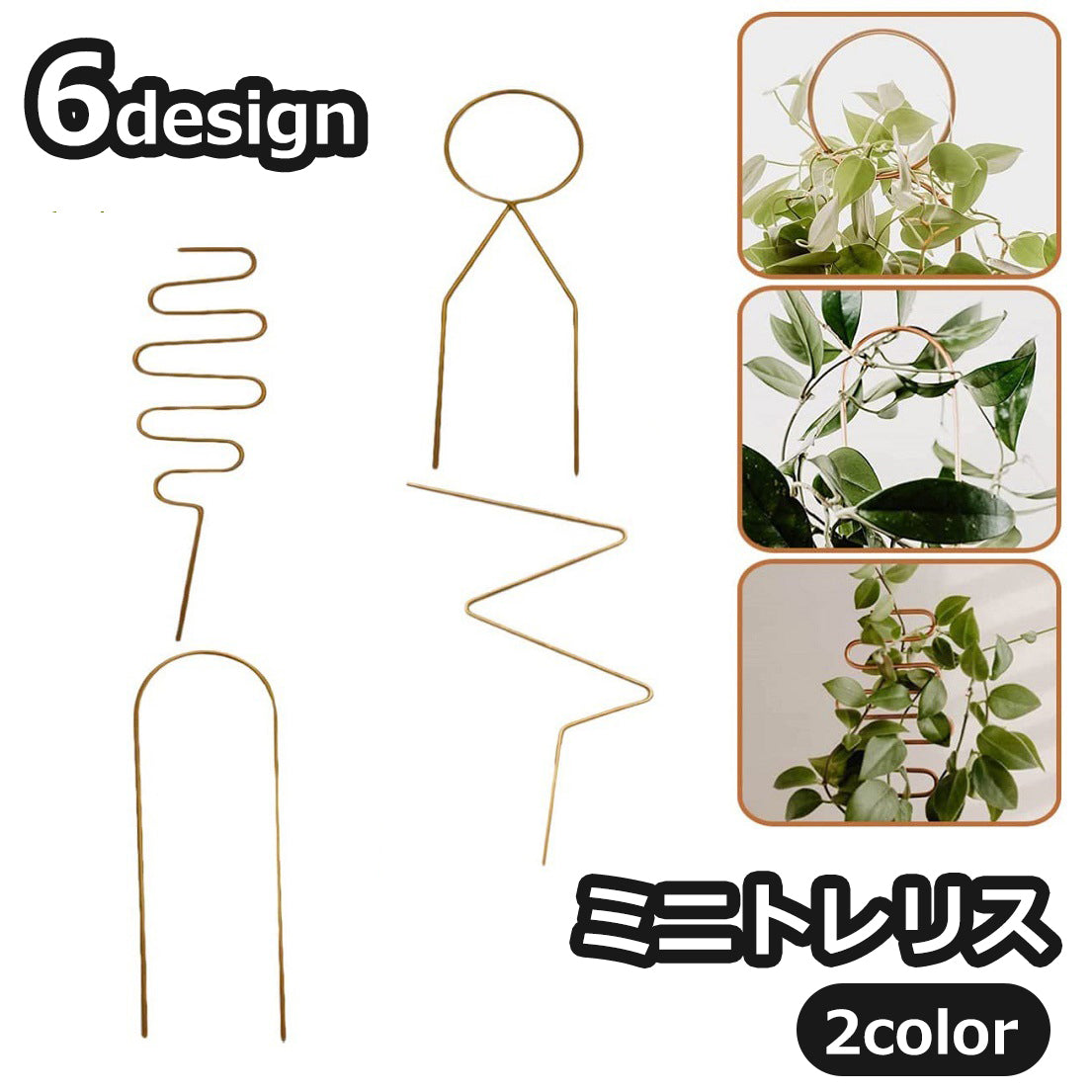 ミニトレリス 植物支柱 つる性植物用 観葉植物 植木鉢 園芸 商品画像